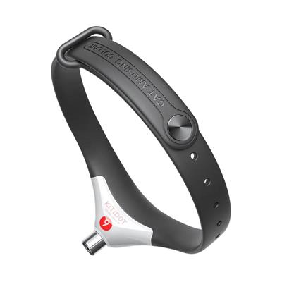 Cheerble Şarjlı Akıllı Lazer Tasma Kedi Oyuncağı 34 x 3.5 cm