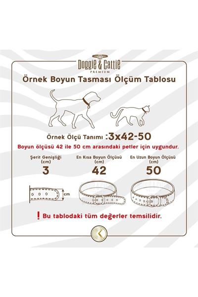 Doggie SBT Kemik Desen  Baskılı Boyun Tasması M/Kırmızı