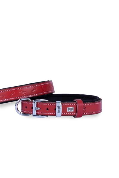 Doggie SBT Kemik Desen  Baskılı Boyun Tasması M/Kırmızı