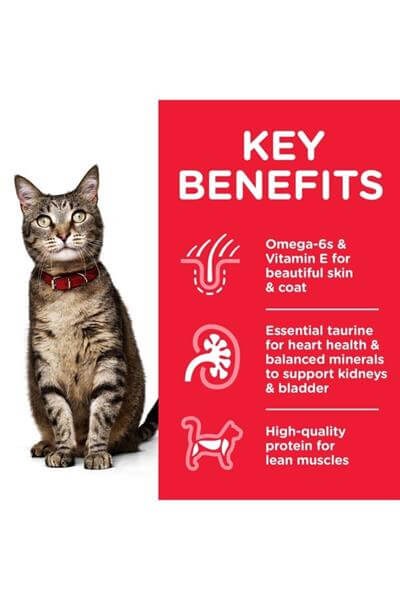 Hills Cat Adult Lamb Kuzu Kedi Maması 10 kg