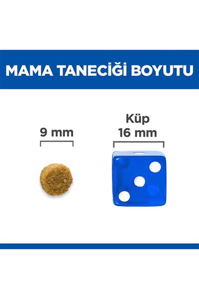 Hills Cat Hypoallergenic  Tahılsız Yumurta ve Böcek Proteinli Kedi Maması 1,5 kg