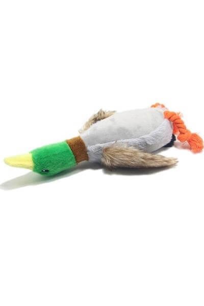 Lion  Köpek&kedi Peluş Oyuncak 30cm