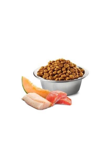 N&D Ocean Somon ve Morina Balıklı Kavunlu Mini Yetişkin Köpek Maması 2,5 Kg