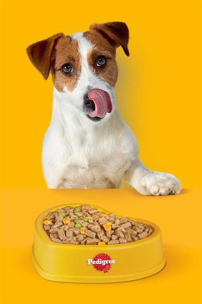 Pedigree Junior Kümes Hayvanlı ve Sebzeli Yavru Köpek Maması 500 G