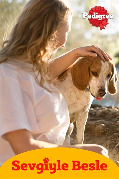 Pedigree Junior Kümes Hayvanlı ve Sebzeli Yavru Köpek Maması 500 G