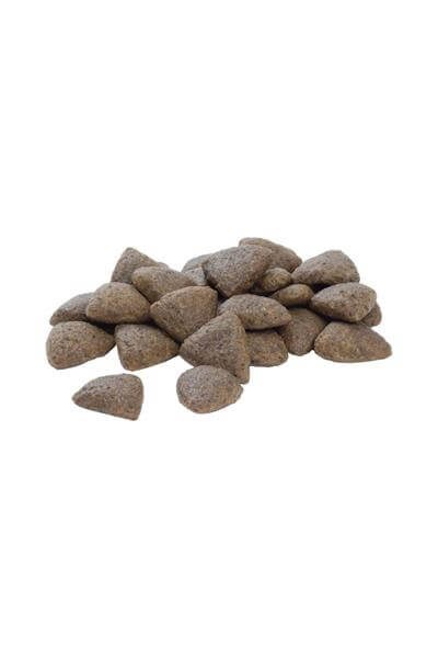 Proplan Medium Adult Tavuklu Yetişkin Köpek Maması 16,5 kg