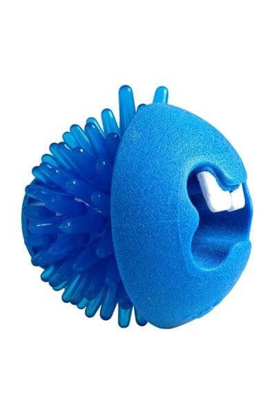 Rogz Toyz Fred Traktatiebel Köpek Oyuncağı 6,4 Cm BLUE