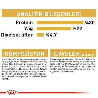 Royal Canin Adult Persian İran Kedilerine Özel 4 kg Yetişkin Kuru Kedi Maması
