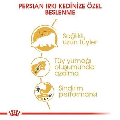 Royal Canin Adult Persian İran Kedilerine Özel 4 kg Yetişkin Kuru Kedi Maması
