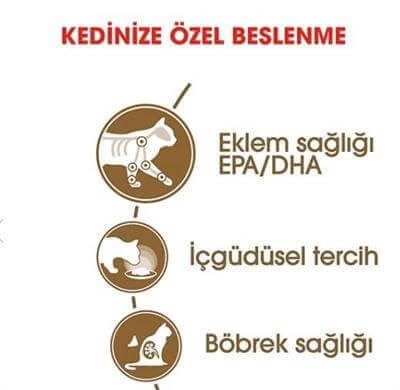 Royal Canin Ageing 12+ Sos İçinde Yaşlı Kedi Konservesi 85gr