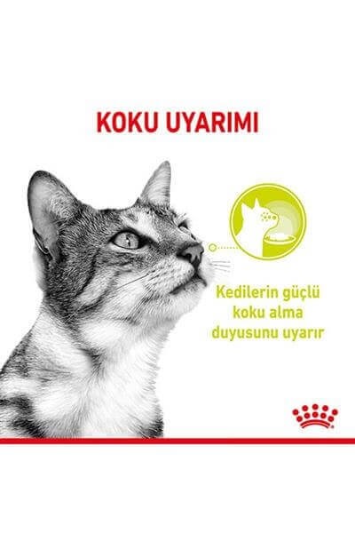 Royal Canin Cat Sensory Smell Gravy Kedi Konservesi 85g