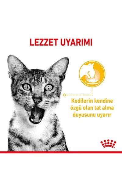 Royal Canin Cat Sensory Taste Etli Soslu Kedi Konservesi 85gr