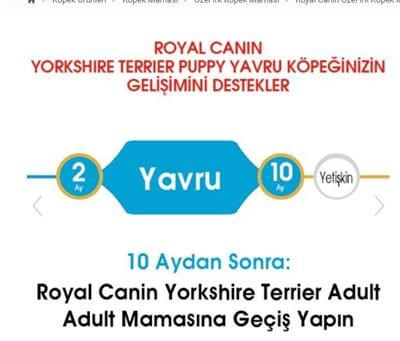 Royal Canin Dog BHN Yorkshire Terrier Junior Köpek Maması 1,5 Kg