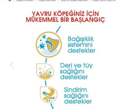 Royal Canin Dog BHN Yorkshire Terrier Junior Köpek Maması 1,5 Kg