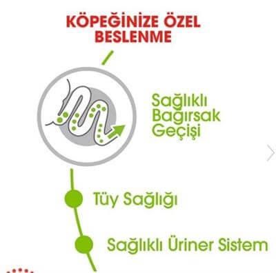 Royal Canin Dog SHN XSmall Adult Köpek Maması 1,5 kg