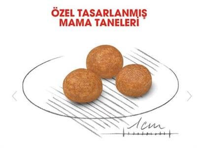 Royal Canin Dog SHN XSmall Adult Köpek Maması 1,5 kg