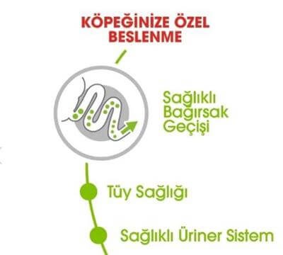 Royal Canin Dog SHN XSmall Köpek Maması 3 KG