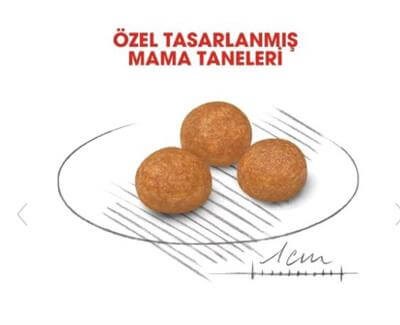 Royal Canin Dog SHN XSmall Köpek Maması 3 KG