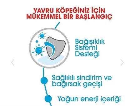 Royal Canin Dog SHN XSmall Puppy Köpek Maması 1,5 kg