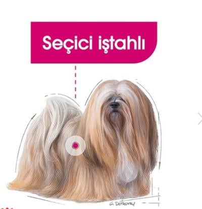 Royal Canin Exigent Mini Yetişkin Köpek Maması 3kg