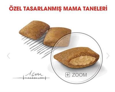 Royal Canin Exigent Mini Yetişkin Köpek Maması 3kg