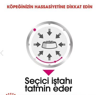 Royal Canin Exigent Seçici Köpeklere Özel Yetişkin Köpek Konservesi 85gr