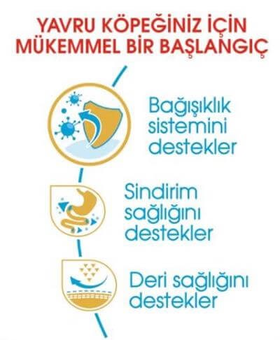 Royal Canin French Bulldog Junior Yavru Köpek Maması 3kg