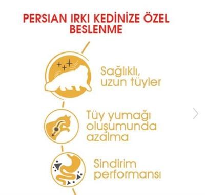 Royal Canin İran Kedileri İçin Yetişkin Kedi Maması 2kg