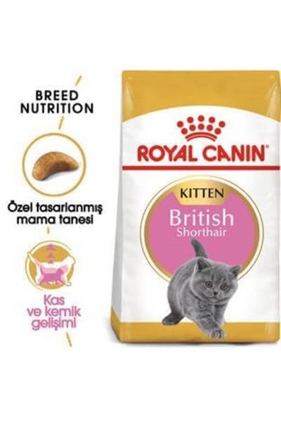 Royal Canin Kitten British Shorthair Yavru Kedi Maması 2kg