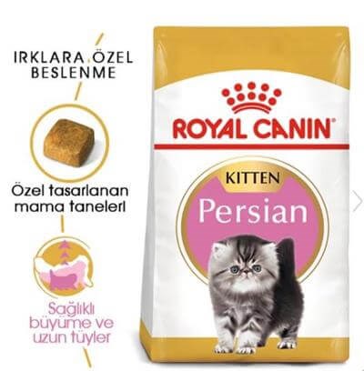 Royal Canin Kitten İran Kedileri İçin Yavru Kedi Maması 2kg