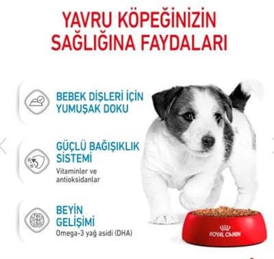 Royal Canin Küçük Irk Yavru Köpek Konservesi 85gr