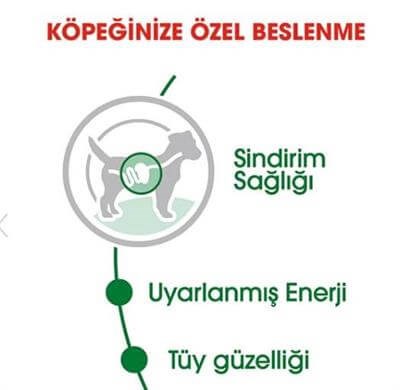 Royal Canin Küçük Irk Yetişkin Köpek Konservesi 85gr