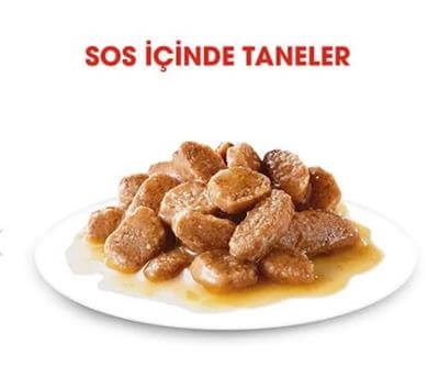 Royal Canin Küçük Irk Yetişkin Köpek Konservesi 85gr