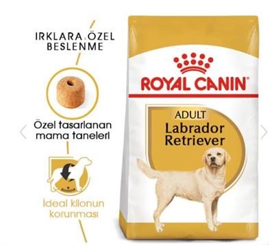 Royal Canin Labrador Retriever Yetişkin Köpek Maması 12kg