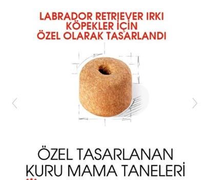 Royal Canin Labrador Retriever Yetişkin Köpek Maması 12kg