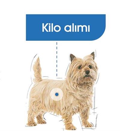 Royal Canin Light Weight Care Mini Yetişkin Köpek Maması 3kg