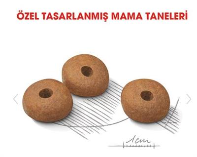 Royal Canin Light Weight Care Mini Yetişkin Köpek Maması 3kg