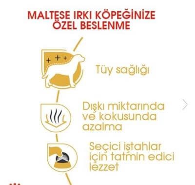 Royal Canin Maltese Terrier Yetişkin Köpek Maması 1,5kg