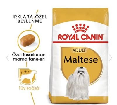 Royal Canin Maltese Terrier Yetişkin Köpek Maması 1,5kg