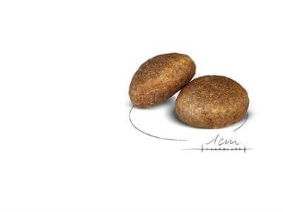 Royal Canin Maxi Adult Büyük Köpek Maması 15 kg