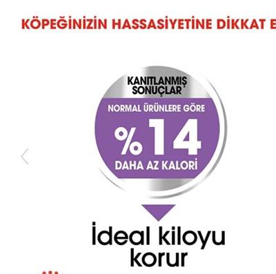 Royal Canin Mini Küçük Irk Kısırlaştırılmış Köpek Maması 3kg