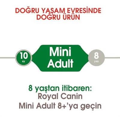Royal Canin Mini Küçük Irk Yetişkin Köpek Maması 8kg