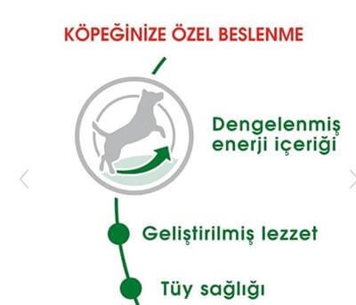 Royal Canin Mini Küçük Irk Yetişkin Köpek Maması 8kg