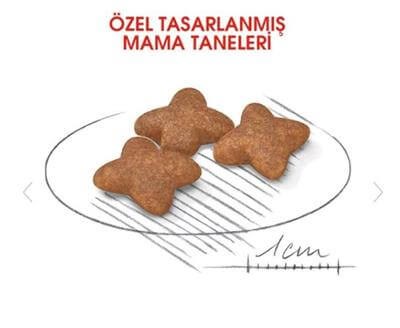 Royal Canin Mini Küçük Irk Yetişkin Köpek Maması 8kg