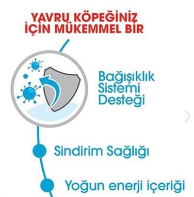 Royal Canin Mini Puppy  Küçük Irk Yavru Köpek Maması 2kg