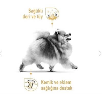 Royal Canin Pomeranian Yetişkin Köpek Maması 3kg