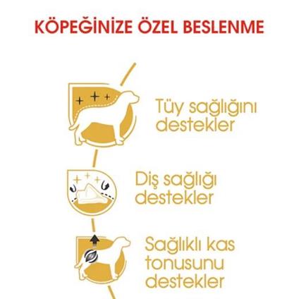 Royal Canin Poodle Yetişkin Köpek Maması 3kg