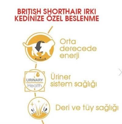 Royal Canin Pouch British Yetişkin Kedi Konservesi 85gr