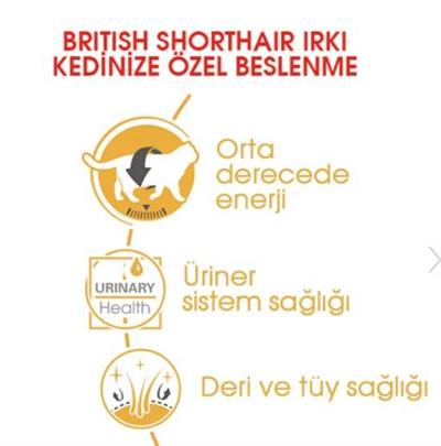 Royal Canin Pouch British Yetişkin Kedi Konservesi 85gr