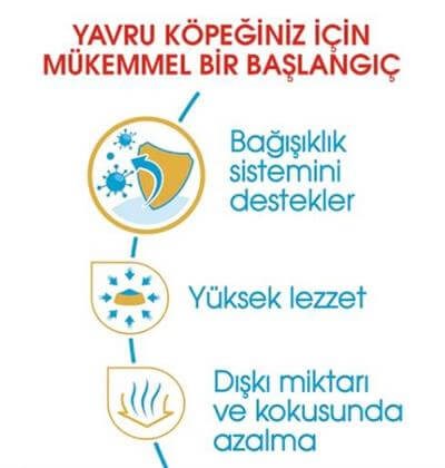 Royal Canin Puppy Chihuahua Yavru Köpek Maması 1,5kg